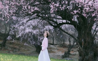 西藏拉萨旅行景点推荐哪些景点必去？去西藏拉萨什么景点值得一看？