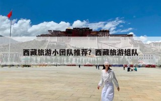 西藏旅游小团队推荐？西藏旅游组队