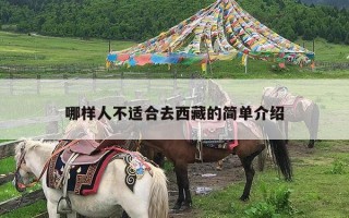 哪样人不适合去西藏的简单介绍