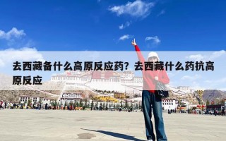 去西藏备什么高原反应药？去西藏什么药抗高原反应
