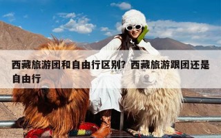 西藏旅游团和自由行区别？西藏旅游跟团还是自由行
