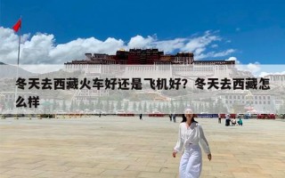 冬天去西藏火车好还是飞机好？冬天去西藏怎么样