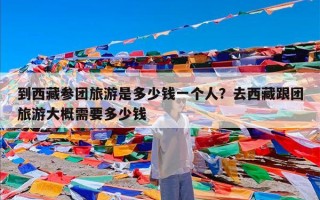 到西藏参团旅游是多少钱一个人？去西藏跟团旅游大概需要多少钱