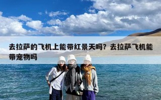 去拉萨的飞机上能带红景天吗？去拉萨飞机能带宠物吗