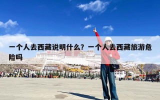 一个人去西藏说明什么？一个人去西藏旅游危险吗