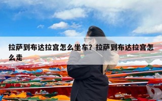 拉萨到布达拉宫怎么坐车？拉萨到布达拉宫怎么走