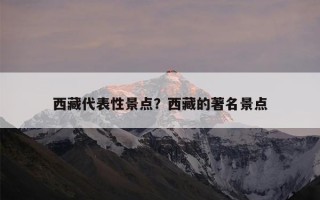 西藏代表性景点？西藏的著名景点