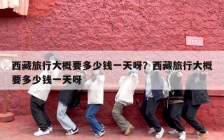 西藏旅行大概要多少钱一天呀？西藏旅行大概要多少钱一天呀