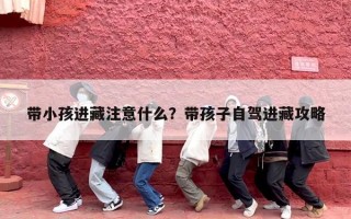 带小孩进藏注意什么？带孩子自驾进藏攻略