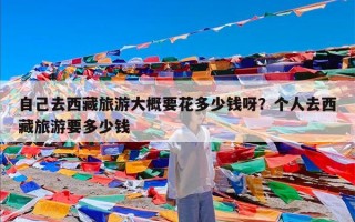 自己去西藏旅游大概要花多少钱呀？个人去西藏旅游要多少钱