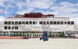 跟团去西藏攻略费用？跟团去西藏旅游大概需要多少钱