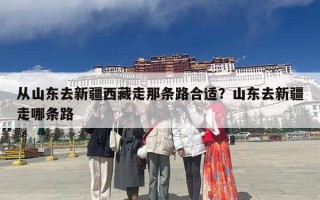 从山东去新疆西藏走那条路合适？山东去新疆走哪条路