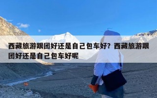 西藏旅游跟团好还是自己包车好？西藏旅游跟团好还是自己包车好呢
