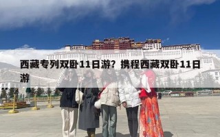 西藏专列双卧11日游？携程西藏双卧11日游