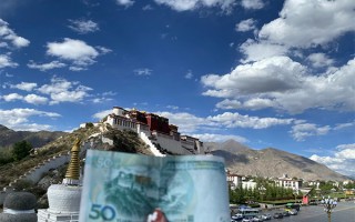 从广东阳江出发去西藏报团旅游大约多少钱？跟团去西藏旅游费用是多少？