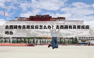 去西藏有高原反应怎么办？去西藏有高原反应咋办