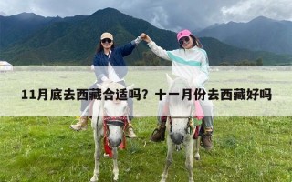 11月底去西藏合适吗？十一月份去西藏好吗