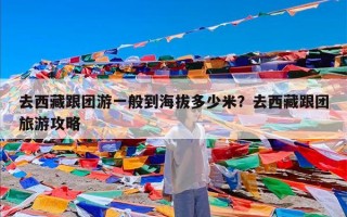 去西藏跟团游一般到海拔多少米？去西藏跟团旅游攻略