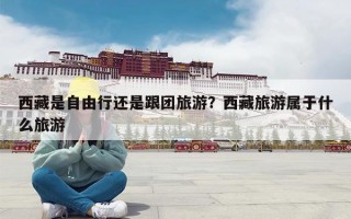 西藏是自由行还是跟团旅游？西藏旅游属于什么旅游