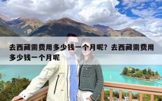 去西藏需费用多少钱一个月呢？去西藏需费用多少钱一个月呢