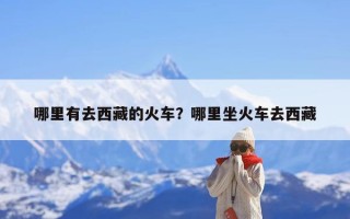 哪里有去西藏的火车？哪里坐火车去西藏