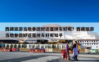 西藏旅游当地参团好还是拼车好呢？西藏旅游当地参团好还是拼车好呢知乎