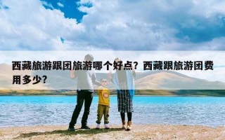 西藏旅游跟团旅游哪个好点？西藏跟旅游团费用多少?