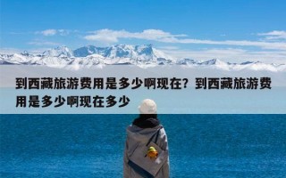 到西藏旅游费用是多少啊现在？到西藏旅游费用是多少啊现在多少