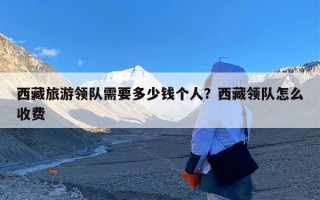 西藏旅游领队需要多少钱个人？西藏领队怎么收费