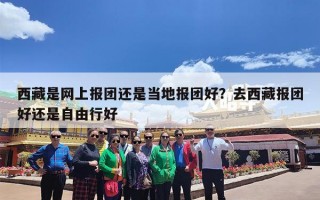 西藏是网上报团还是当地报团好？去西藏报团好还是自由行好