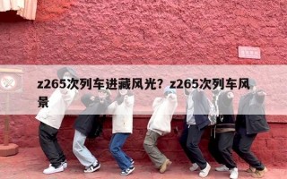 z265次列车进藏风光？z265次列车风景