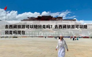 去西藏旅游可以随团走吗？去西藏旅游可以随团走吗现在
