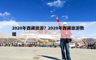 2020年西藏旅游？2020年西藏旅游数据