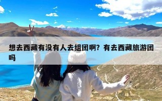 想去西藏有没有人去组团啊？有去西藏旅游团吗