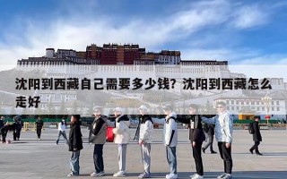 沈阳到西藏自己需要多少钱？沈阳到西藏怎么走好