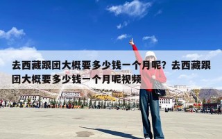 去西藏跟团大概要多少钱一个月呢？去西藏跟团大概要多少钱一个月呢视频