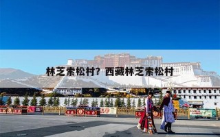 林芝索松村？西藏林芝索松村