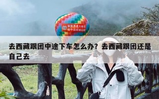 去西藏跟团中途下车怎么办？去西藏跟团还是自己去