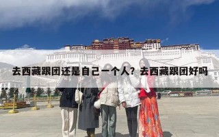 去西藏跟团还是自己一个人？去西藏跟团好吗