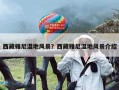 西藏雅尼湿地风景？西藏雅尼湿地风景介绍