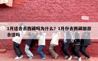 1月适合去西藏吗为什么？1月份去西藏旅游合适吗