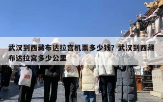 武汉到西藏布达拉宫机票多少钱？武汉到西藏布达拉宫多少公里