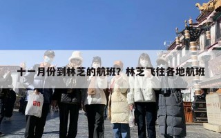 十一月份到林芝的航班？林芝飞往各地航班