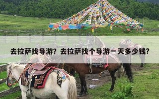 去拉萨找导游？去拉萨找个导游一天多少钱?