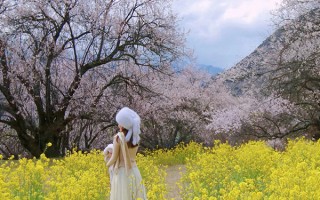 4月西藏旅游一个人准备2000元够吗？4月去西藏每个人准备2000够花吗？