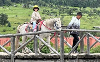 西藏报团找哪个旅行社靠谱？跟团去西藏找哪个旅行社报名更好？