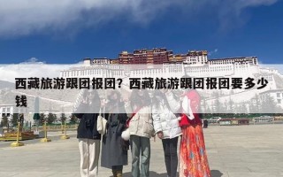 西藏旅游跟团报团？西藏旅游跟团报团要多少钱