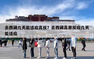 去西藏几天能适应高反？去西藏高原反应几天能适应