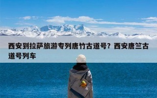 西安到拉萨旅游专列唐竹古道号？西安唐竺古道号列车