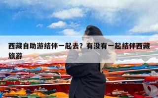 西藏自助游结伴一起去？有没有一起结伴西藏旅游